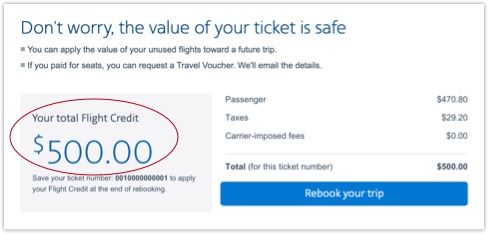 american airlines trip vs flight credit